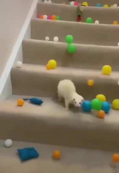 Нееееееееееееееее...