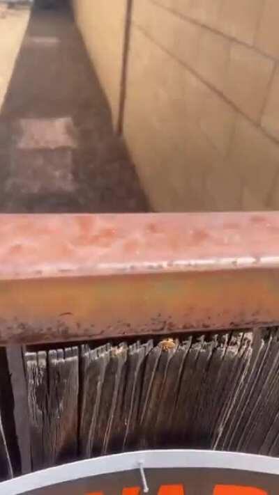 Beware the true monster!