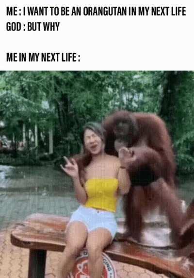 You cant sue me, human