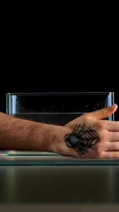 Showcasing Snell's Law of Refraction.