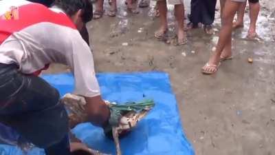 Boy eaten by piranhas in Peru