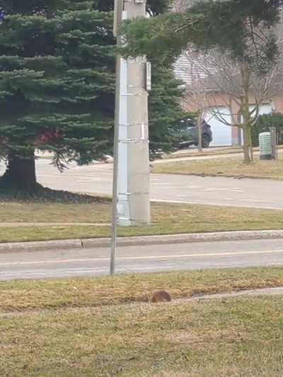 This did not go how you thought it would. 