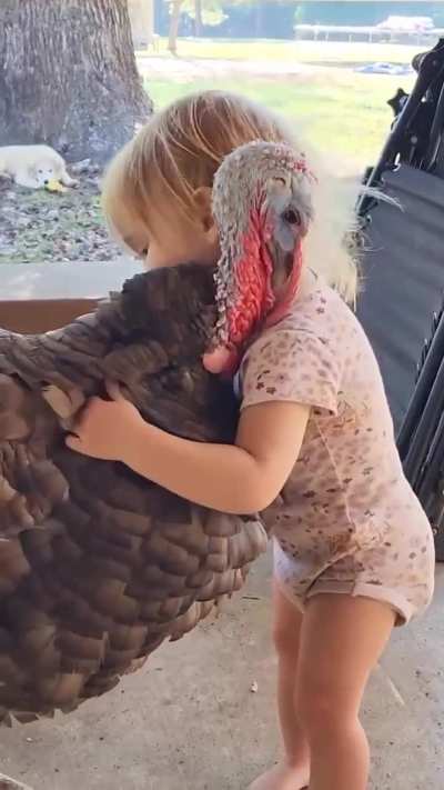 Hugs 😅🦃