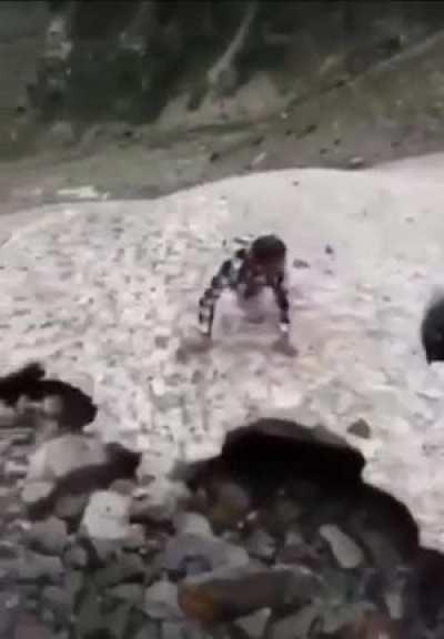 Thisa absolutely belongs here