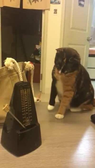 Twitching to the beat