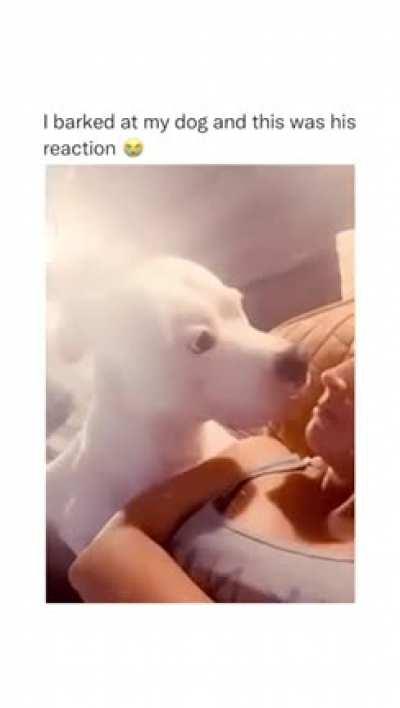 Why did he square up 😂🤣😭