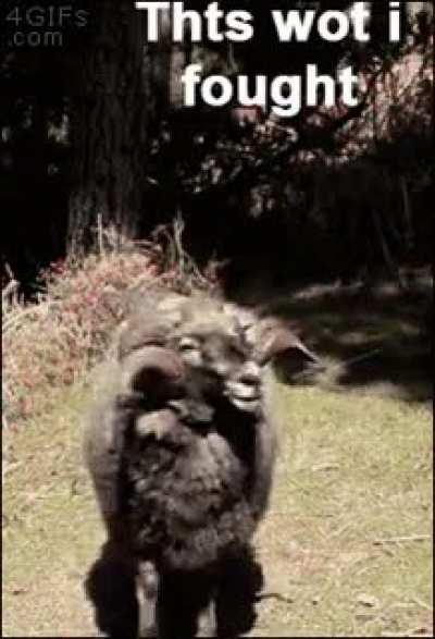 Dont mess with this Ram