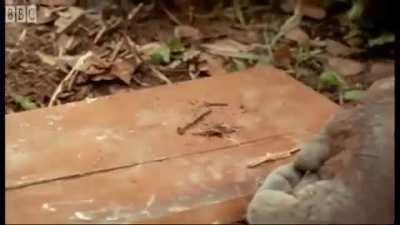 Watching my new tech repair a desktop