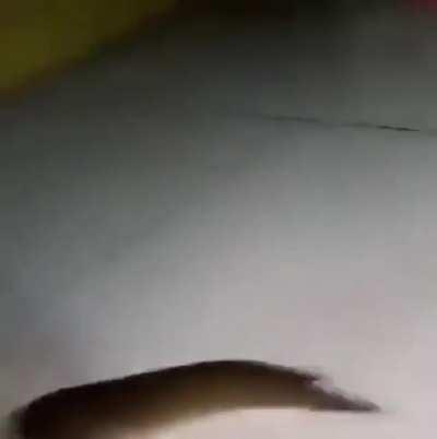 Where did all this energy come from