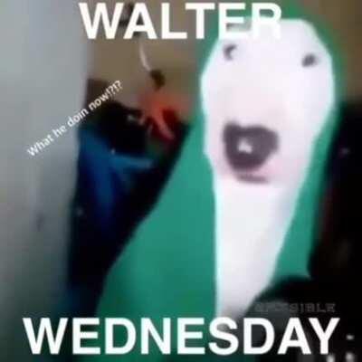 Walter Wednesday
