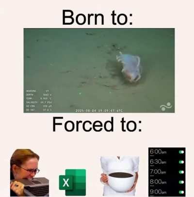 Para aflojar un poquito con el tema politico del stream