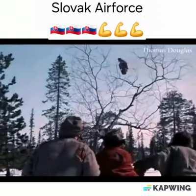 Entire Slovak airforce