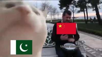 Müslümanlar zulme uğrarken tek derdi karikatür olanları güzel özetlemiş