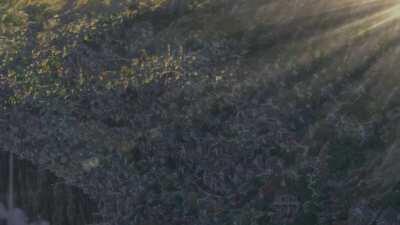 Made in Abyss but only the scenery [ep.1]