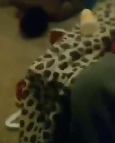 Why he fold like that💀