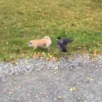 Ooopps.. was it on purpose????