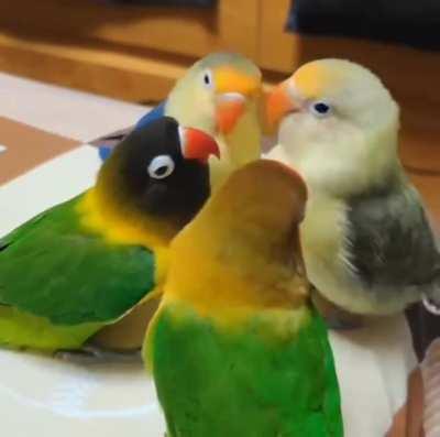 I would love to take part in this talk