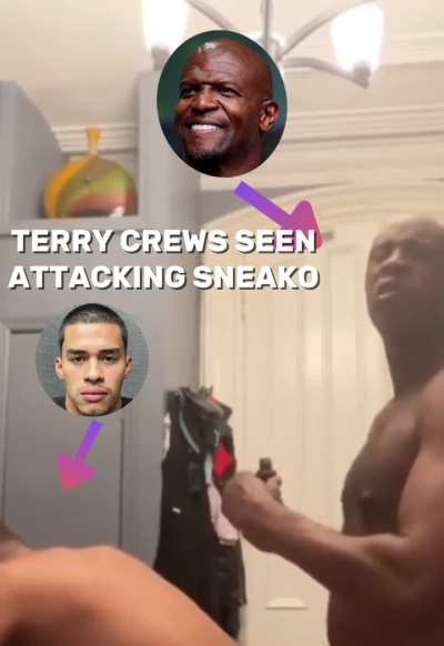 Terry Crews Attacks Sneako