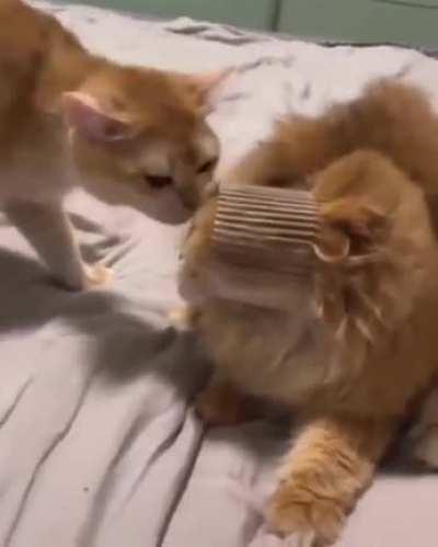 Something went wrong