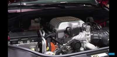 Watch model die inside