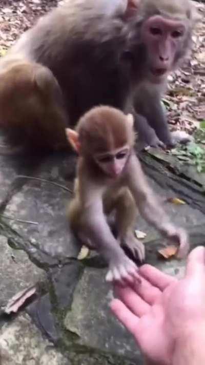 Get your creepy hand away from my child