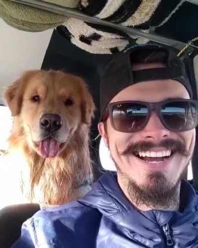 Smile, no smile, smile, no smile!