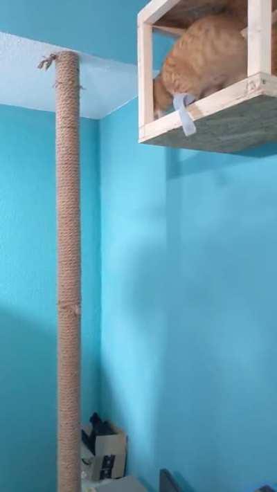 Riche, slo-mo up & down