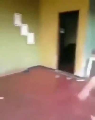 Patada de canguro 🤪 🤪 🤪 😎 😎 😎 😎 👊🏻👊🏻👊🏻