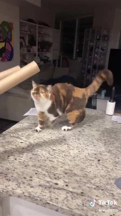 Shaolin monk (practicing ancient martial art practice to make body impervious to pain)