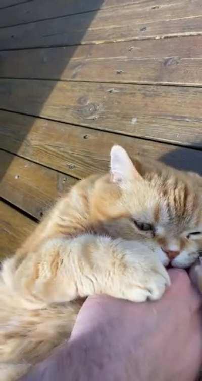 I couldn’t resist that belly