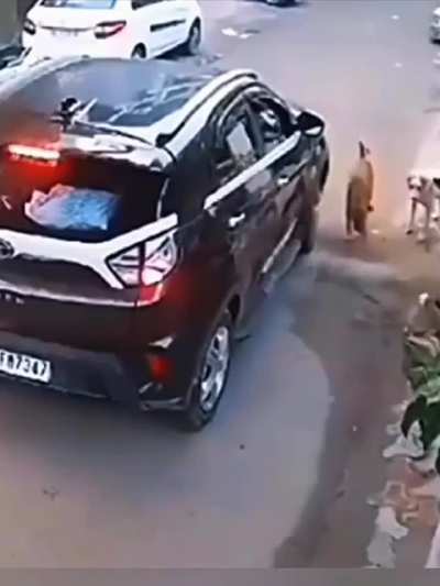 Quem foi imprudente nesse caso?