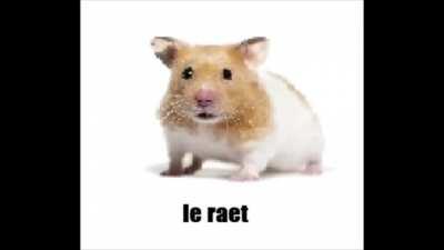 Le raet V 2.0