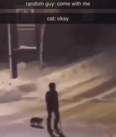 The king of all animals. All animals love and respect him. Legend says that animals call him god.