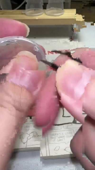 Mosquito nightmare fuel