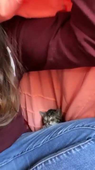 class makes me sleepy too