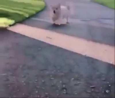 Bom dia, boa tarde e boa noite <3