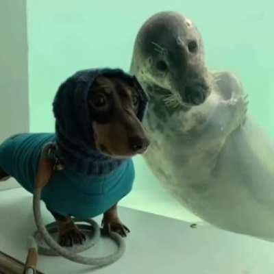 Look at these cute pals