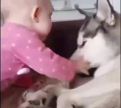 Fed up with this Tiny hooman
