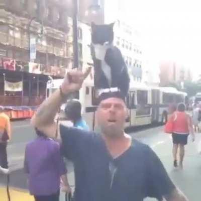 Dr. Cat, he controls the mind of the human he sits on