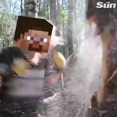 Minecraft irl