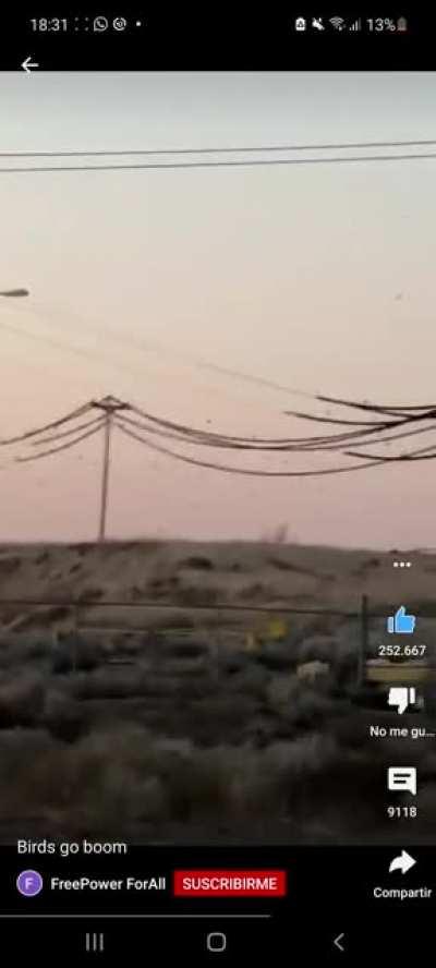 Brids Overload Charging Station