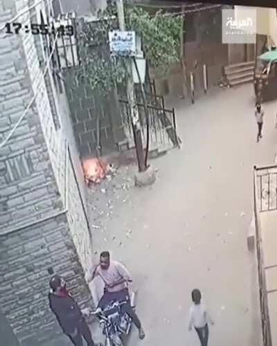 Black cat doing some ordianry activities