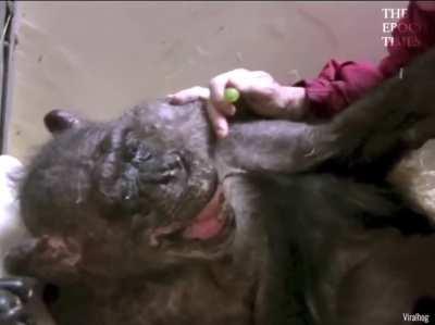 Emotional reunion between 2 friends