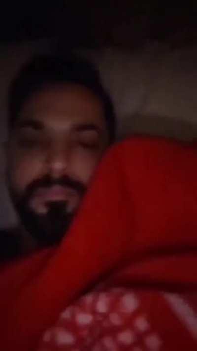 How the cat found the owner.