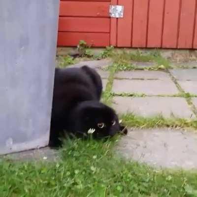 Stealth mode enabled