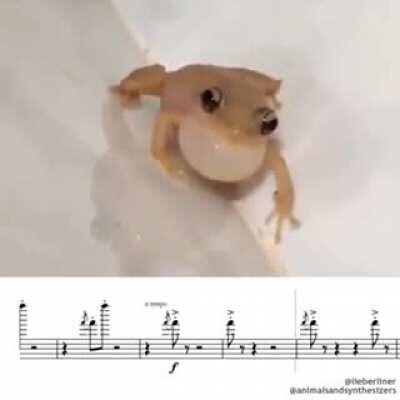 Idk if this has already been posted here