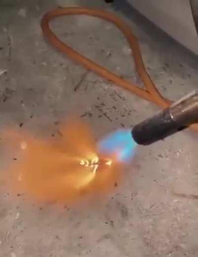 The Cockroach Got Cooked