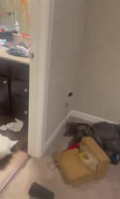 Girl trashes boyfriend‘s apartment due to not getting anything for her on Valentine’s Day