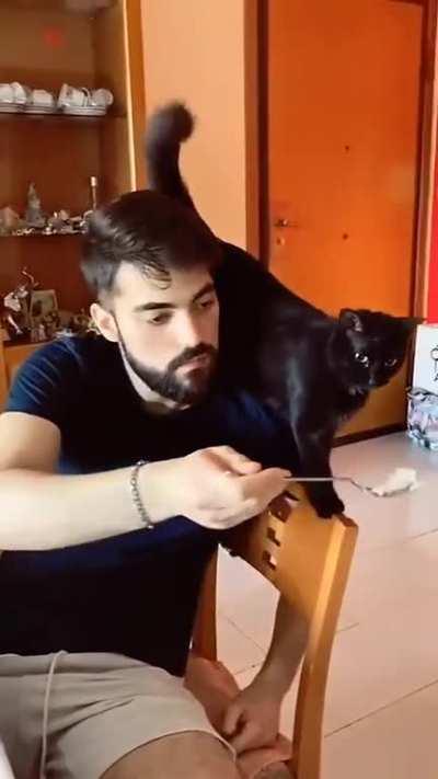 justice with their own paws