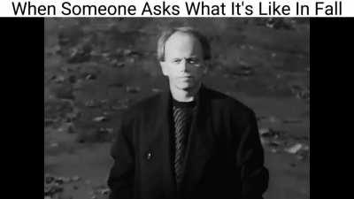 Though some are red and some are orange